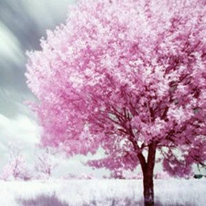 Meet your Posher, Hope